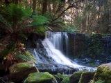 Horseshoe Falls